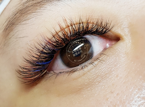 聖誕節優惠活動  美睫❤️山茶花多層次雙眼 ˊ600 根 儲值 3 堂優惠