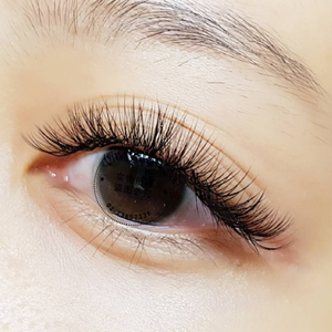 早鳥預約優惠,6D美睫500根特價1380元